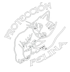 Protección Felina