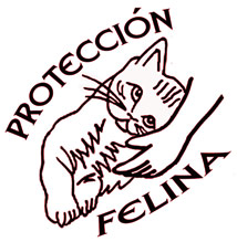 (c) Proteccionfelina.org