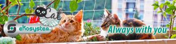 Ekosystem colabora con Proteccin felina